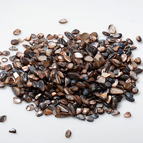 QICQDRAM Crushed Shells for Crafts About 1LB (405g/14.28oz) Small Natural Crushed Shells Bulk for Crafts DIY Beaching Wedding Decoration Vase Fillers (Black) - color: Black, size: 1LB (405g/14.28oz)