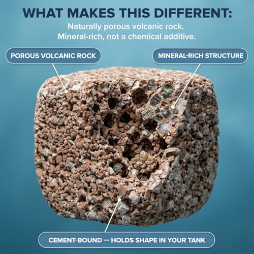 EcoBio-Block Natural Volcanic Rock for Aquarium Water Clarity & Balance — Low-Maintenance Alternative to Weekly Additives — for Freshwater Fish, Turtles, Shrimp & Frogs (Small, 8-16 gal) - size: 1 Pack, style: Small