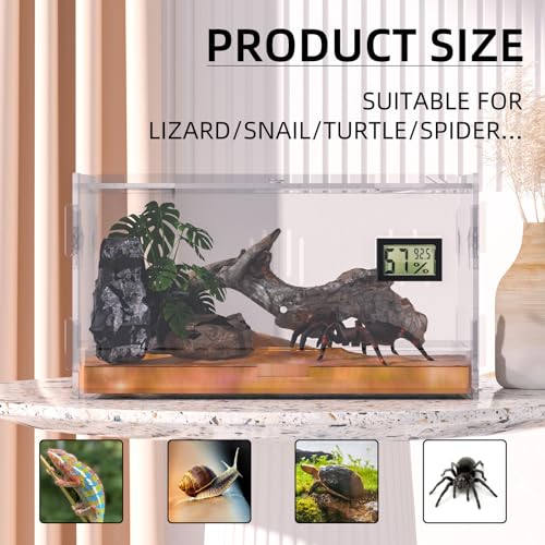 Reptile Terrariums with Temperature Hygrometer, 15.7"x9.9"x7.1" Acrylic Breeding Box Terrarium Cage Tank for Small Reptiles, Insects, Home Office (Terrestrial) - size: Terrestrial--L (Tray)