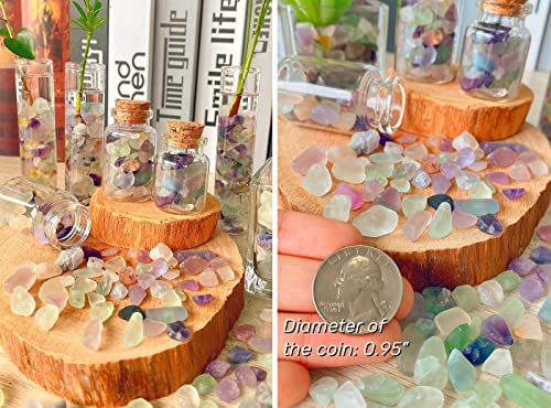 QINJIEJIE Fluorite Crystal Gravel Stones Tumbled Stone Polished Rocks Colorful Crushed Reiki Healing Quartz Home Decoration Aquarium Tank Succulent Vase Filler Landscape Bottom Ornament 0.88lbs 14oz - color: Multi-colored - Fluorite, size: 0.9 Pound