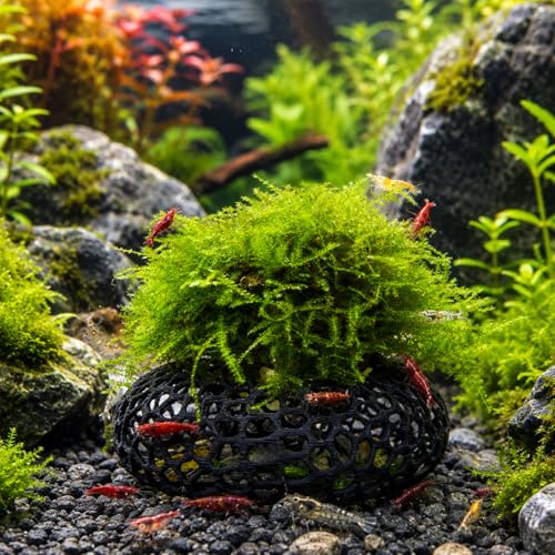 Shrimp Cave for Moss & Plants, 2-Pack Aquarium Hide for Neocaridina, Cherry & Dwarf Shrimp, Aquascape Decor for Ferns & Anubias, Black