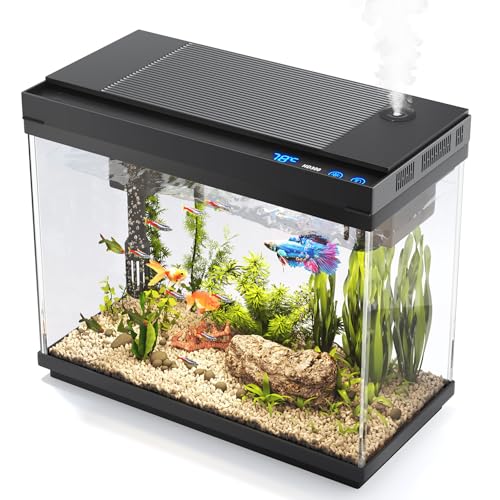 Fish Tank, 2.4 Gallon Fish Aquarium, Fish Tank Starter kit with Smart Humidifier, Temperature Display, 7-Color Lighting, 3 in 1 Quiet Pump with Filteration & Oxygenation & Circulation - color: Black