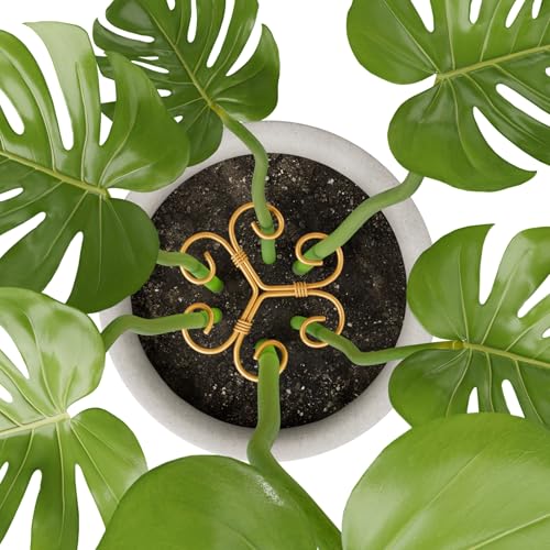 4PCS Iron Monstera Support, Uniquely Designed Plant Support Stakes for Indoor Plants, Stable Plant Stakes and Supports, Turtle Shell Bamboo Clamp Set for Thriving Growth