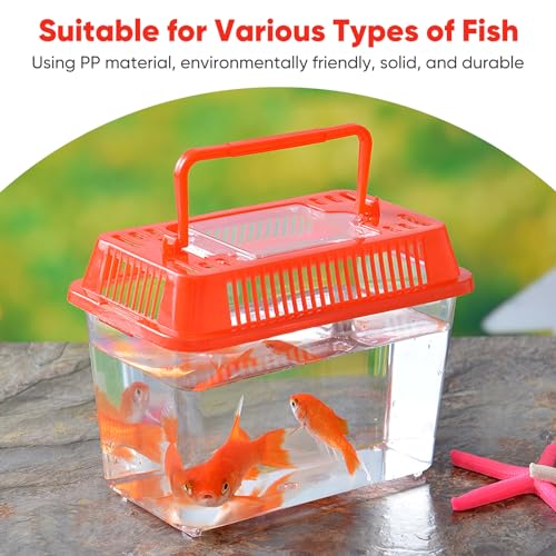 Baluue Portable Fish Tank, Handheld Fish Tank, Plastic Mini Box, Transparent Cutout Design, Plastic Aquarium with Handle for Turtle and Pet Lid for Random