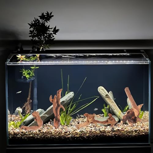 4pcs Driftwood for Fish Tank Aquarium Decor, Natural Driftwood Branches 15-20cm for Freshwater Aquascaping and Reptile Habitat Accessories