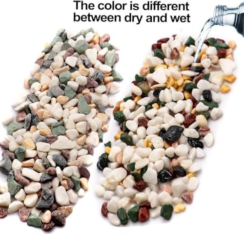 TOYPOPOR 6LB Succulent and Cactus Gravel Pebbles, 1/5 Inch Natural Decorative Polished Stones, River Rocks for Plants, Vases, Aquariums, Terrarium and Outdoor Gardening, Mixed Color - color: Five Colors Mixed, size: 6 lb