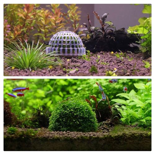 WishLotus 2Pcs Transparent Plastic Aquarium Moss Ball Holder, Moss Accessory Landscape Ornaments for Fish Tank