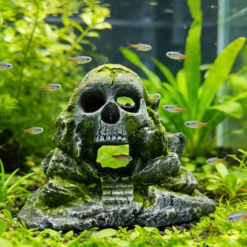 Aquarium Decoration, Crawler Box, Hidden cave, Fish Tank Decoration Accessories, Amphibians, Fighting Fish, Shrimp, Lizards, Leopards, Geckos, Hiding and Playing in Their habitats