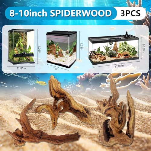3 Pcs Natural Driftwood for Aquarium, Aquarium Driftwood Freshwater 8-10 Inch, Assorted Size Mopani Wood, Twisted Branches for Fishtank Accessories, Reptile Terrariums Decorations - color: 3 Pack Mopani Driftwood 8-10in