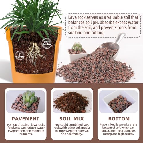 7lb Mix Lava Rocks for Landscaping - Horticultural Volcanic Rock Gravel for Drainage, Succulents, Bonsai, Vase Fillers, Terrarium Plants, Top Dressing - color: Mix Lava, size: 7lb