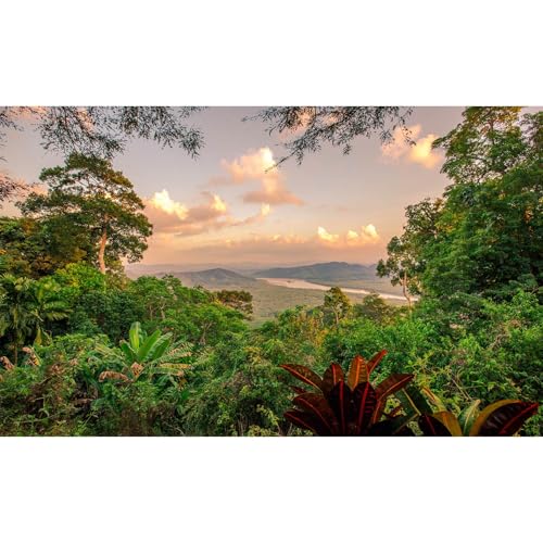 Panoramic Mountain Valley Aquarium Background Majestic Jungle Rainforest Scene Fish Tank Background Scenic Forest Tranquil River Terrarium Backgrounds Green Pine Trees Reptile Tank Backgrounds 24x12in - color: Red_Green, size: 24(W)x12(H)in