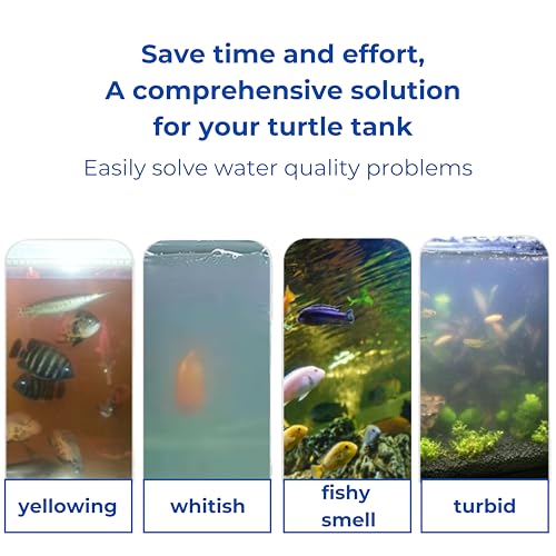 2 Packs Turtle Feeding Ring with Suction Cup and Nitrifying Balls Fish Food Holder Aquatic Toys for Turtles Tortoise Goldfish Guppy Koi Puffer Turtle Tank Accessories (Square & Circle)