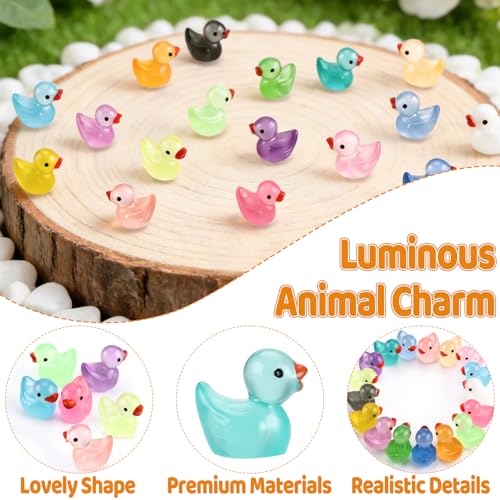 Tmtains Slime Charms Kawaii Resin Charms 3D Cute Nail Charm Mini Flatback Luminous Animal Charm Bulk Resin Jewelry Making Turtle Embellishments Supplies for Cell Phone Scrapbooking DIY Crafts - color: Db Glow in Dark Mini Ducks
