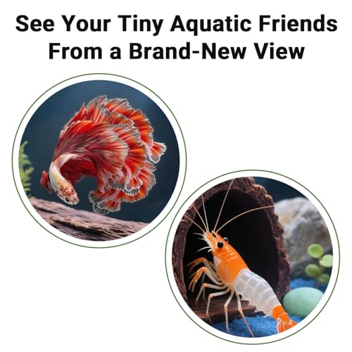 90° Corner Fish Cave Viewing Tunnels | Realistic Driftwood Stump Hideout for Shrimp, Betta, Corydoras | BPA-Free Premium Resin, Safe for Aquarium (5.1”x5.1”x2.8”) - style: Stump