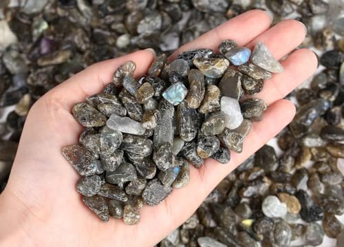 LAIDANLA Labradorite 1lb Crystal Polished Tumbled Stones Irregular Shaped Crystal Chips Bulk Natural Gemstone Aquarium Gravel Rocks Vase Filler Fish Tank Gravel Home Decoration - color: Labradorite, size: 1 Pound-（0.28"-0.35"）
