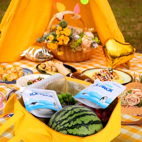 12 Pack 7x7 Inch / 10x10 InchReusable Long Lasting Ice Packs for Cooler, Reusable Ice Packs for Lunch Box, Lunch Bags for Beach, Fishing, Camping - size: 7x7in/12Pack