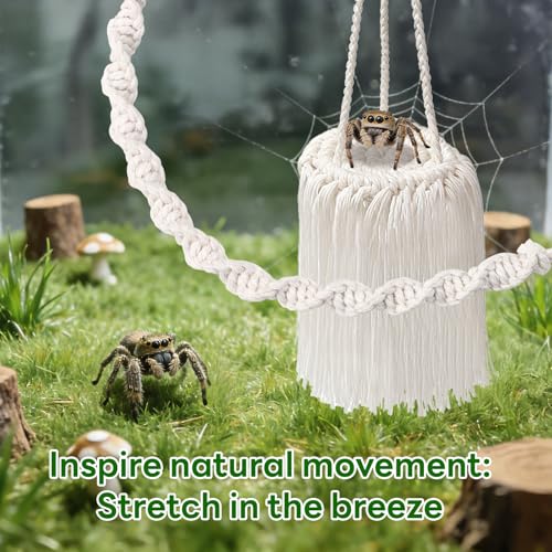 Jumping Spider Accessories – 2 Pack Handmade Natural Jute Rope Bridge Swings, Magnetic Mount Jumping Spider Enclosure Decor for Medium Enclosures