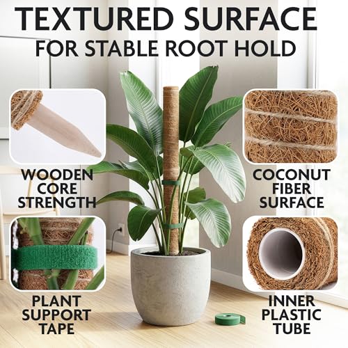 2 Pcs Moss Sticks for Indoor Plants Climbing with Coconut Fiber and Plant Tie Tape - 15.75 Inch Stackable Small Moss Pole for Monstera, Pothos, Philodendron, Money Plants & Indoor Houseplant Vines