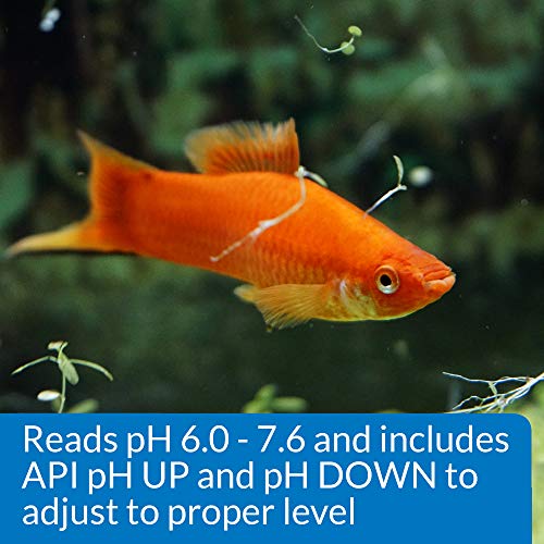 API pH TEST & ADJUSTER KIT 250-Test Freshwater Aquarium Water pH Test and Adjuster Kit - size: 250 test, style: pH & Adjuster