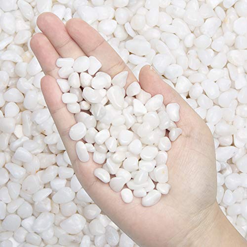 Natural Polished Decorative White Pebbles - Small Stones 3/8" Gravel Size,River Rocks Pebbles for Plants, Home DIY Decor,Aquarium Gravel,Vase Fillers,Fairy Garden,Landscaping Outdoor Stones. - color: White, size: 5 LB