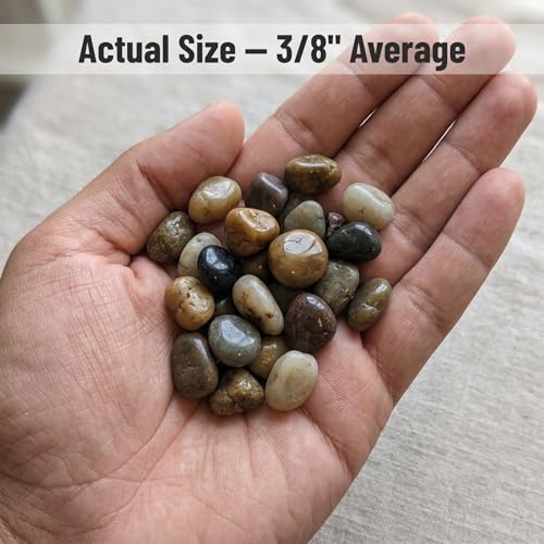 Midwest Hearth Decorative Mixed Pebbles for Plants & Terrariums | Polished Natural Stones | 3/8" Size (10-lb Bag)