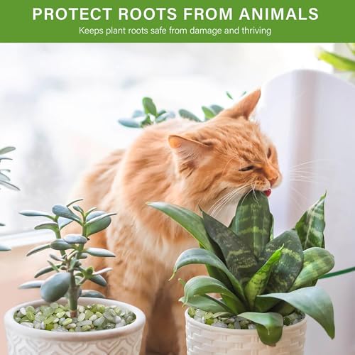 6 lbs Pebbles for Indoor Plants, 3/8 Inch Pea Gravel for Fish Tank, Polished Decorative Rocks for Succulent, Natural River Stones for Vases, Cactus, Landscaping, Bird Bath, Aquarium, Jade - color: Jade, size: 6 lb