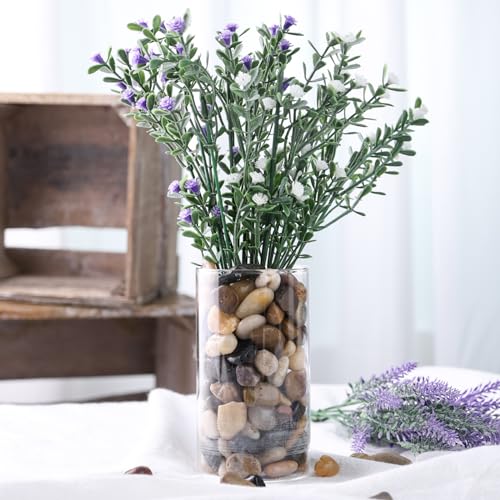 DomeStar River Rocks, Fish Tank Gravel, Pebbles for Plants Decorative Stones for Potted, Vase Filler, Home Decor, Fish Tank, Garden Landscaping, Flower Beds (1 Pound)