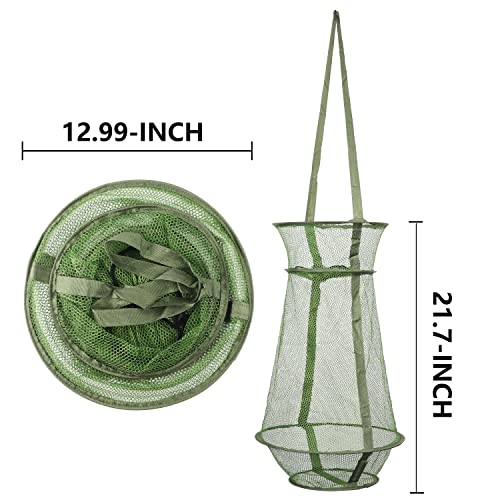 Collapsible Fish Basket Mesh Fish Trap Portable Fish Cage Foldable Fishing Keep Net for Keeping Fish Alive, Bait Storage Crayfish Crab Minnows Shrimps Lobsters - color: Green-2pcs