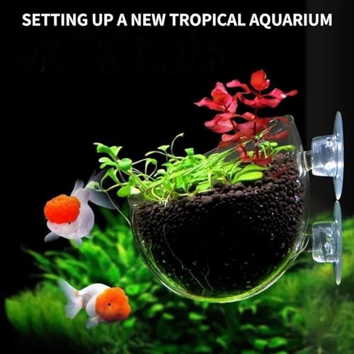 2 PCS Aquarium Plant Holder Top Hanging Fish Tank Plant Pot Aquarium Planter Cups for Water Feature Decoration - color: Round - Clear