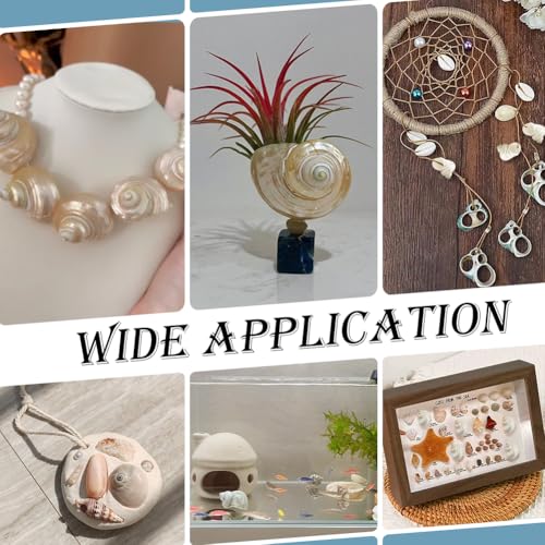 PH PandaHall 16pcs Natural Spiral Shell Beads, 0.8~1.1 Inch Mouth Turbo Seashells Undrilled Hermit Crab Shells NO Hole Shells for Home Party Wedding Decor Fish Tank Vase Filler, White