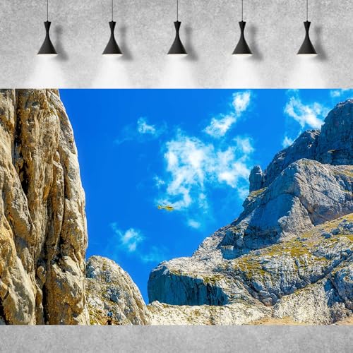 Reptile Habitat Background Blue Sky Rock Mountain Gobi Terrarium Background Helicopter Alpine Mountain Landscape Aquarium Background Desert Blue Sky Mountain Fish Tank Background Vinyl 24x16in - color: Rock Gray, size: 24(W)x16(H)in
