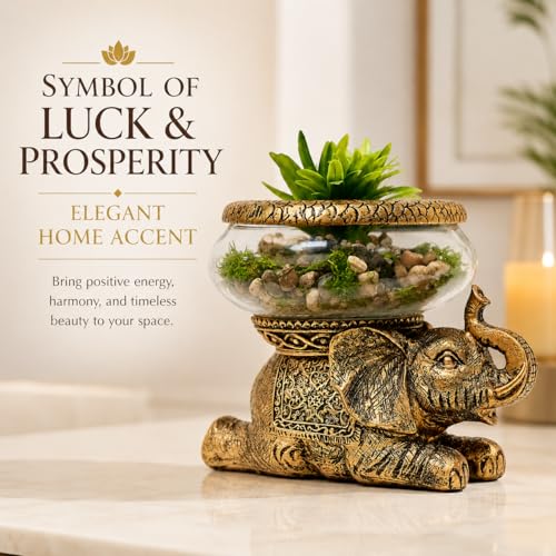 Good Luck Elephant Terrarium Bowl – Antique Gold Elephant Figurine with Removable Glass Bowl, Succulent Planter, Candle Holder, Air Plant Display & Zen Home Décor Accent