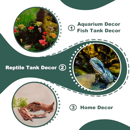 Natural Wood Driftwood for Aquarium Fish Tank Decor,Assorted Driftwood Trunk Branch for Reptile Tank Decor (MOP-ZYM Driftwood Branch (12 to16 Inch)-Pack of 3) - color: MOP-ZYM Driftwood Branch (12 to16 Inch)-Pack of 3