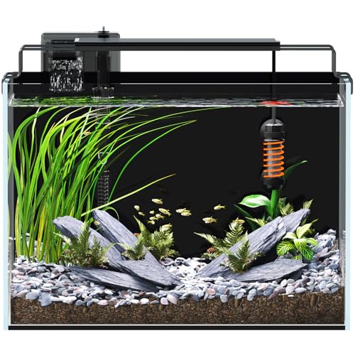 5 Gallon Fish Tank Aquarium Kit with Filter, Heater, LED Light with Timer, Siphon Vacuum Cleaner, Lid, Self-Cleaning Glass Rimless Betta Tank - size: 5 gallon with heater