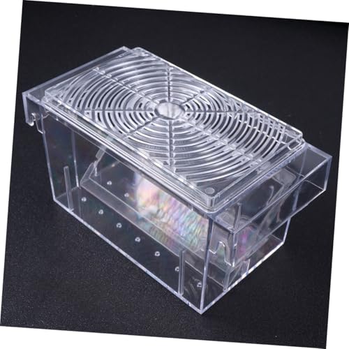 jojofuny Aquarium Breeding Tank Fish Isolation Box Acrylic Fish Hatching Incubator for Guppy and Betta Suitable for Home and Tank Breeders