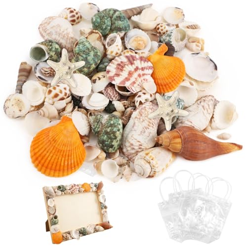 200-320 Pcs Mixed Sea Shells for Crafting, 1000 g Natural Seashells with Plastic Starfish, Various Sizes Seashells for Decoration, DIY Craft Projects, Home Decor and Fish Tank