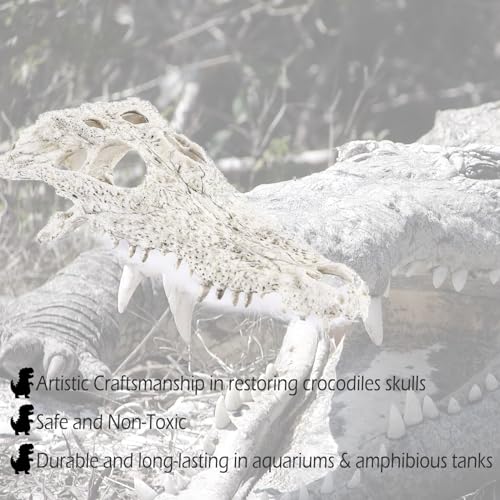 Animal Skull Fish Aquarium Hideout Decorations Cave Dinosaur Reptile Ornament Halloween Décor for Terrarium Large Betta Decor Bones - color: Crocodiles