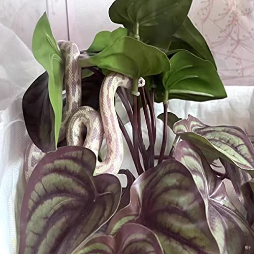 Reptile Plants for Terrarium Decor,Amphibian Habitat Decor,Artificial Plants for Gecko Chameleon Snake Tortoise Tank Accessories with Base (red Watermelon peperomia) - color: Red Watermelon Peperomia
