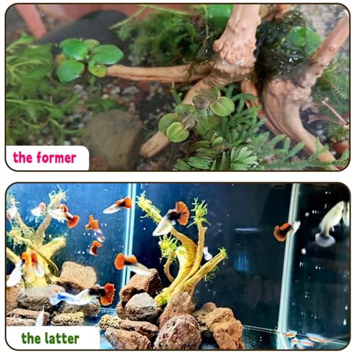 6PCS Aquarium Driftwood 6-8in Natural Spider Wood Branches Reptiles Aquarium Fish Tank Decoration Assorted - size: M:Spiderwood (6-8in 6PCS)