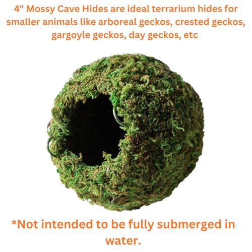Galápagos (05346) Mossy Cave Hide, 4", Green