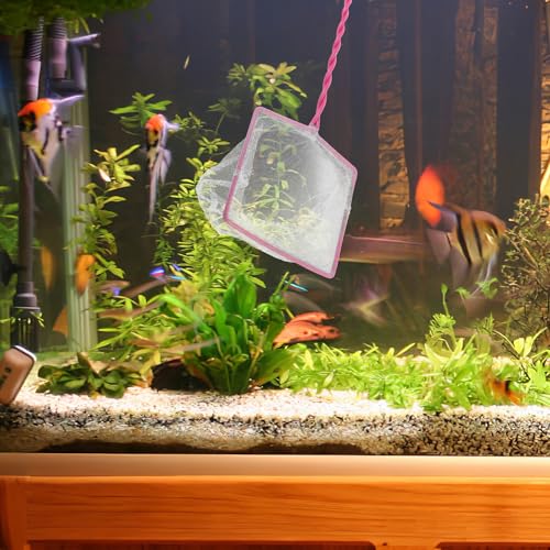 5pcs Small Aquarium Fish Net Set 5-inch Handheld Fine Mesh Fish Tank Nets and Aquascaping Tools