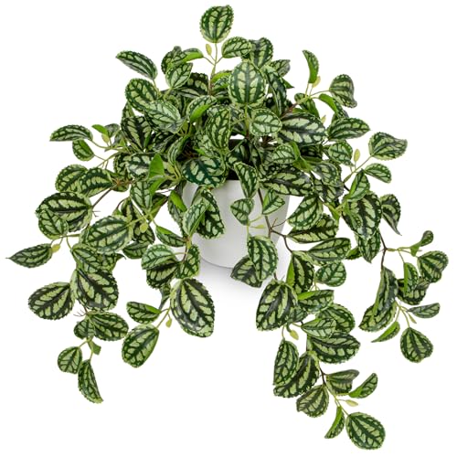 Briful Fake Plants Indoor Artificial Potted Silk Plants Faux Watermelon Peperomia Trailing Vine Plant for Home Office Livingroom Desk Shelf Mantle Decoration(Green/White - 1 Pack) - color: Green Style#2
