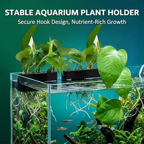 2 Pack Hanging Aquarium Plant Holder – 7-Hole Fish Tank Plant Pot for Pothos & Aquatic Plants, Floating Plant Corral, Aquascape Decor, Rim Plant Holder (Black) - color: Black