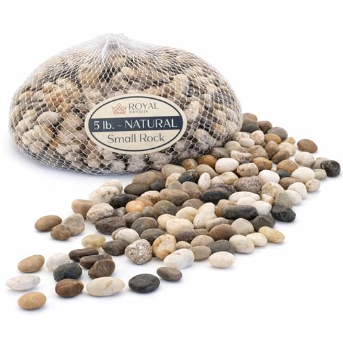 River Rocks Decorative Ornamental Vase Filler 0.5" - 0.75" Natural Aquarium Gravel 5 lbs - Landscaping Pebbles for Indoor Plants, Succulents,Terrarium & Home Decor, DIY & Crafting – Royal Imports - size: Small - 5 lbs, style: Natural