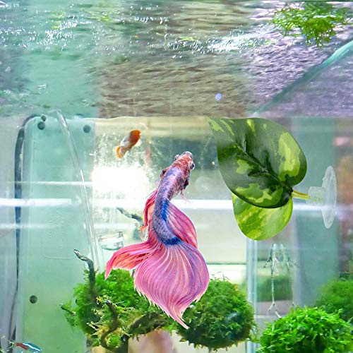 Lpraer Betta Tunnel,Fish Toys with Suction Cups,Safe Hollow Fishs Tank Accessories,Swim Tube Aquarium Decor for Small Fish and Shrimps (Pink Tunnel & 2X beds) - color: Pink Tunnel & 2x Beds