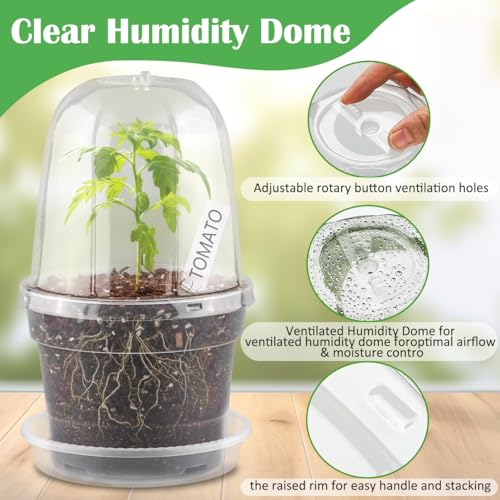 BTPLASTIK 6 Inch Clear Nursery Pots with Humidity Domes 15 Pack, Transparent Plastic Plant Pot with Drainage Holes and Saucers, Seed Starter Pots with 15 Pcs Plant Labels and 15 Pcs Soil Screens - size: 6Inch-15P-with Humidity Domes