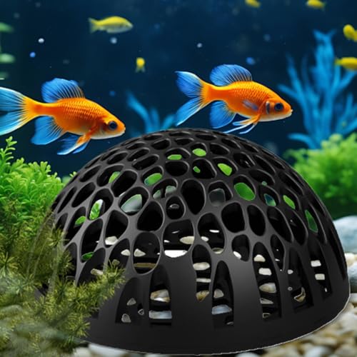 Shrimp Cave Betta Habitat Ornament | Realistic 2-Piece Betta Resting Habitat for Tropical Fish Tanks, Perfect for Home, Office, School Desk Aquariums and Small Aquatic Life Enthusiasts - color: Black