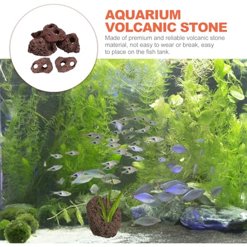 DOITOOL 6 Pcs Lava Rock for Aquarium, Volcanic Rock Pumice Stones Fish Tank Cave Decor, Aquatic Plant Fixer Anchor for Java Moss Anubias Aquascaping Shrimp Betta Turtle Tank Plants