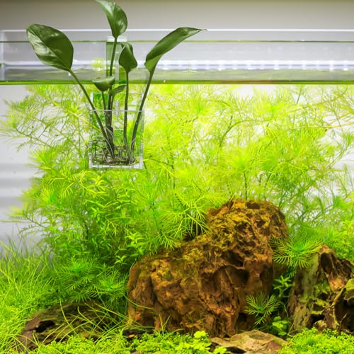 POPETPOP Hanging Aquarium Planter - Transparent Acrylic Fish Tank Plant Holder Cups for Decoration