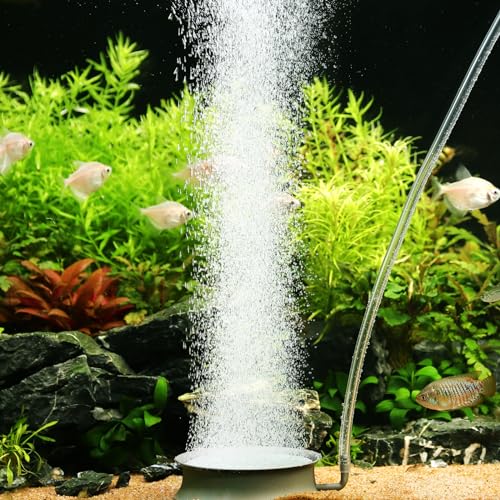 hygger Aquarium Air Stone Fish Tank Bubbler Quiet Ultra High Dissolved Oxygen Stone Fish Tank Air Stone Nano Bubble Airstone Stainless Steel Air Stones for Aquarium Fish Tank and Hydroponics-3.0inch - size: 3.0inch